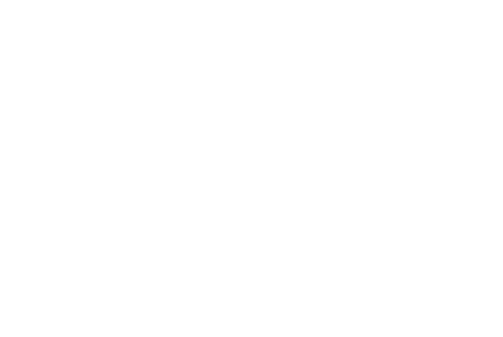 NEO NEEDS